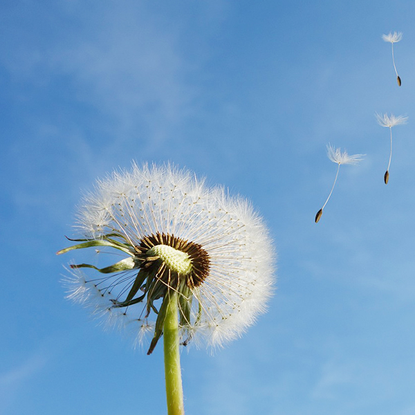 平博·pinnacle(中国集团)官方网站